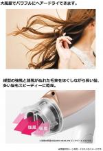 Panasonic hair dryer ionity silver tone EH-NE5A-S