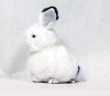 Yoshitoku Snow Rabbit