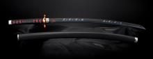 TAMASHII NATIONS PROPLICA Demon Slayer: Kimetsu no Yaiba Nichirin Sword (Tanjiro Kamado) Kyojuro Rengoku's Tsuba ver. Approx. 880mm ABS & Diecast Painted Finished Figure