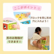 Toy Royal Monpoke Dice Puzzle (Block Play / Puzzle Play / Fingertip Play) Fun educational toys for learning (shapes / colors / numbers / alphabet) 1 year old, 2 year old, 3 year old educational toys, shape matching