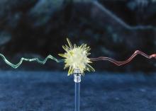 TAMASHII NATIONS SHFiguarts Harry Potter (Harry Potter and the Goblet of Fire) Approximately 140mm PVC & ABS Painted Movable Figure