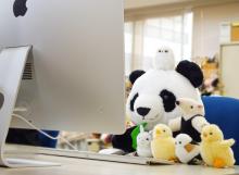 Yoshitoku Land Friends Plush Toy Chick 180444