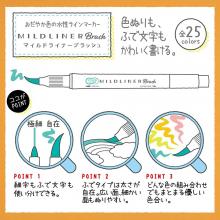 Zebra Aqueous Pen Origami Coloring Set Ishiguro Fumika Collaboration Pen 9 Types TK-OG