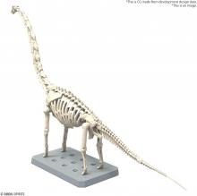 BANDAI SPIRITS Planosaurus Brachiosaurus Pre-colored plastic model