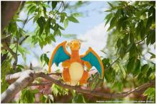 Pokemon Pokemon I decided on you! Pokemon Get Plush Charizard Width about 27 cm