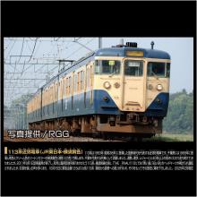 TAKARA TOMY Plarail Real Class 113 Series Commuter Train (JR East Yokosuka Color)