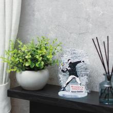 Beverly 47 Piece Acrylic Stand Pop Flower Bomber SP-031