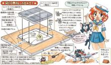 SWEET 1/144 Ninety-six Battle Carrier Fighter Squadron Flight Deck Set (with 14 Cats) Distribution Limited Plastic Model 14150