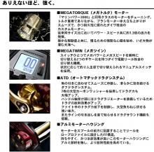 Daiwa Seaborg 1200 MJ English Display (Right handle)