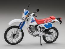 Hasegawa 1/12 Honda XLR250R (MD22) 1991 Plastic Model BK18 (Motorcycle)