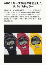 CASIO G-Shock DW-6900 30TH ANNIVERSARY MODELS DW-6900TR-4JR Men's Red