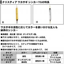 DAIWA Christia Wakasagi Sinker TG H 1.5