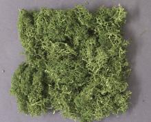 KATO Diorama Supplies Natural Material Plants Medium Green 24-333 Railway Model Supplies