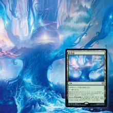 Wizards of the Coast MTG Magic: The Gathering Cardoheim Draft Booster Japanese Edition (BOX)