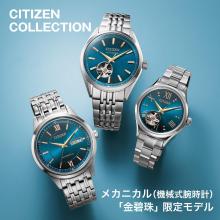 CITIZEN Citizen Collection Limited Edition Gold and Silver NY4050-71L Men's Silver Blue