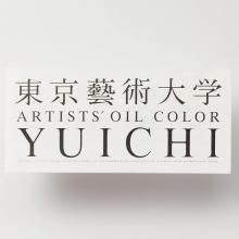 Holbein Oil Paint Oil 1 12 Color Set A Y091 20ml (No. 6)