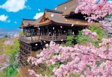 (Made in Japan) Beverly 1000-piece jigsaw puzzle: Kiyomizu-dera Temple with cherry blossoms (49 x 72 cm) 1000-081