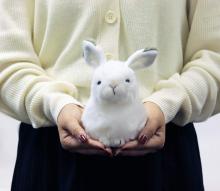 Yoshitoku Snow Rabbit