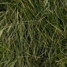 KATO N gauge master grass blend 9mm 24-451 model railroad supplies