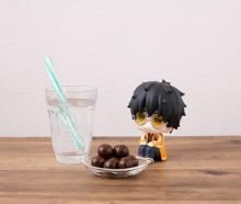 Rukappu WIND BREAKER Togamejo Completed Figure