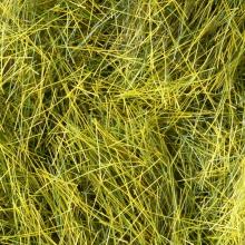 KATO N Gauge Tatsujin Shiba Old Green (Oimidori) 9mm 24-449 Model Train Supplies