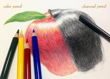 Sanford colored pencil charisma color 24 color set