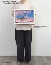 Yanoman (Yanoman) (Made in Japan) 300-Piece Jigsaw Puzzle: Cherry Blossoms of Himeji Castle (Hyogo) (26x38cm) 03-965. Includes a piece request postcard, adhesive, a spatula, a service card, and a jigsaw puzzle instruction manual.