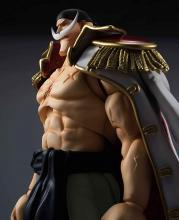 Variable Action Heroes ONE PIECE Edward Newgate Approximately 240mm PVC & ABS & POM Painted Movable Figure