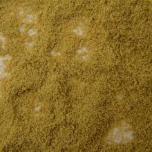 Woodland Scenery x KATO Japanese Autumn Leaves Nano Plants Pretty A Gold Thread Sparrow 24-373 Model Railroad Supplies