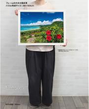 Yanoman (Made in Japan) 500-piece jigsaw puzzle, Sea and Hibiscus, Summer Ishigaki Island (Okinawa) (38x53cm) 05-1097, includes glue, spatula, piece request postcard, service card, and jigsaw puzzle instruction manual