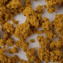 Woodland Scenery x KATO Japanese Autumn Leaves Large Plants Konjiki Gold 24-378 Model Railroad Supplies