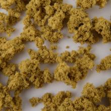 Woodland Scenery x KATO Japanese Autumn Leaves Large Plants Quite A Gold Sparrow 24-377 Model Train Supplies