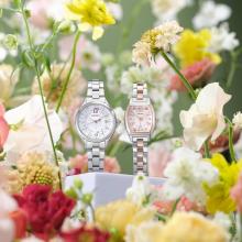 SEIKO LUKIA Grow 2025 SS Main Series SSQW091 Women's Silver