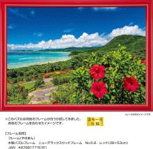 Yanoman (Made in Japan) 500-piece jigsaw puzzle, Sea and Hibiscus, Summer Ishigaki Island (Okinawa) (38x53cm) 05-1097, includes glue, spatula, piece request postcard, service card, and jigsaw puzzle instruction manual
