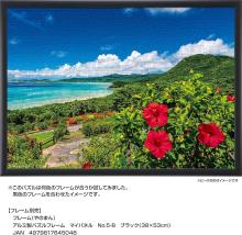 Yanoman (Made in Japan) 500-piece jigsaw puzzle, Sea and Hibiscus, Summer Ishigaki Island (Okinawa) (38x53cm) 05-1097, includes glue, spatula, piece request postcard, service card, and jigsaw puzzle instruction manual