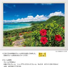 Yanoman (Made in Japan) 500-piece jigsaw puzzle, Sea and Hibiscus, Summer Ishigaki Island (Okinawa) (38x53cm) 05-1097, includes glue, spatula, piece request postcard, service card, and jigsaw puzzle instruction manual