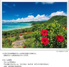 Yanoman (Made in Japan) 500-piece jigsaw puzzle, Sea and Hibiscus, Summer Ishigaki Island (Okinawa) (38x53cm) 05-1097, includes glue, spatula, piece request postcard, service card, and jigsaw puzzle instruction manual