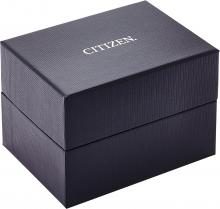 CITIZEN WatchCITIZEN Collection Mechanical Watch PD7162-04A Ladies