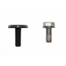 AutoExe Carbon Number Plate Bolt for Mazda