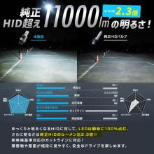 Faro LED Sphere Light para HID OEM, SLGAD2R060, D2R, 6000K