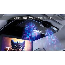 ALPINE RSH10Z-LBS-B 10.1-inch WSVGA with Speakers, Clear Sound Rear Vision, Black