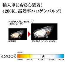 POLARG (Polarg/Nissei) H4 Halogen Headlamp Bulb, White 4200K, P0894W