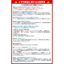 Daiwa 24 Tournament Iso AGS MH-53T (Iso Rod) 2025 Additional Model / Iso Fishing / Fukase Fishing / ISO / (5)