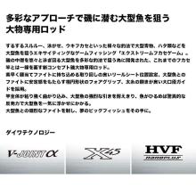 Daiwa 25 Battle Game XFG Extreme Fukase Game 6-42 (Island Fishing Rod) Spinning Model / 2025 Model / Big Game Island Fishing Rod / (5)