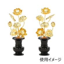 Altar Budista Kinka Lotus Tokohana Brass 4.0 T Altar Budista Hasegawa