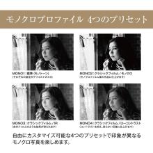 Olympus mirrorless single-lens camera 