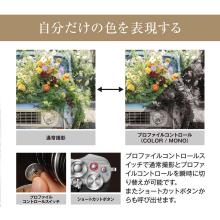 Olympus mirrorless single-lens camera 