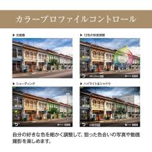 Olympus mirrorless single-lens camera 