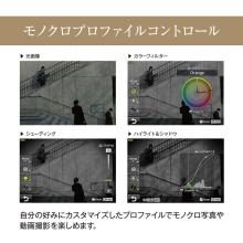 Olympus mirrorless single-lens camera 