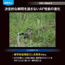 OM SYSTEM mirrorless interchangeable-lens camera 